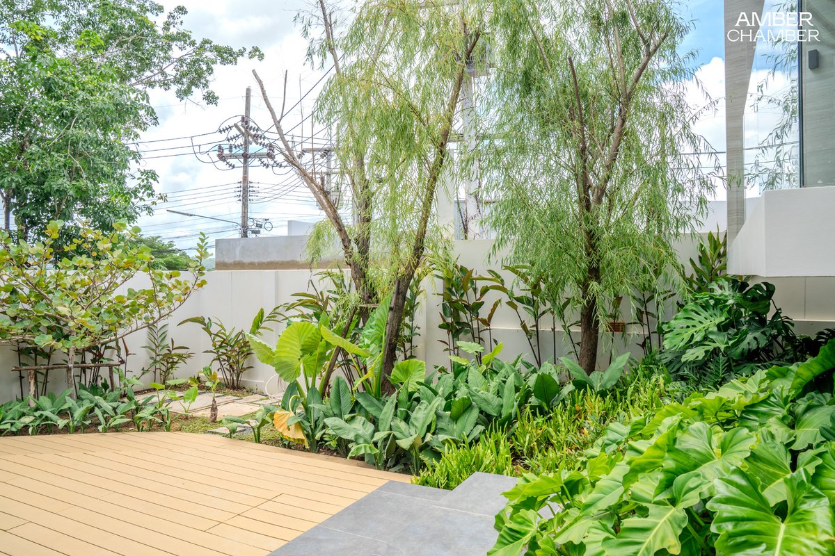 Private landscaped garden with mature tropical planting