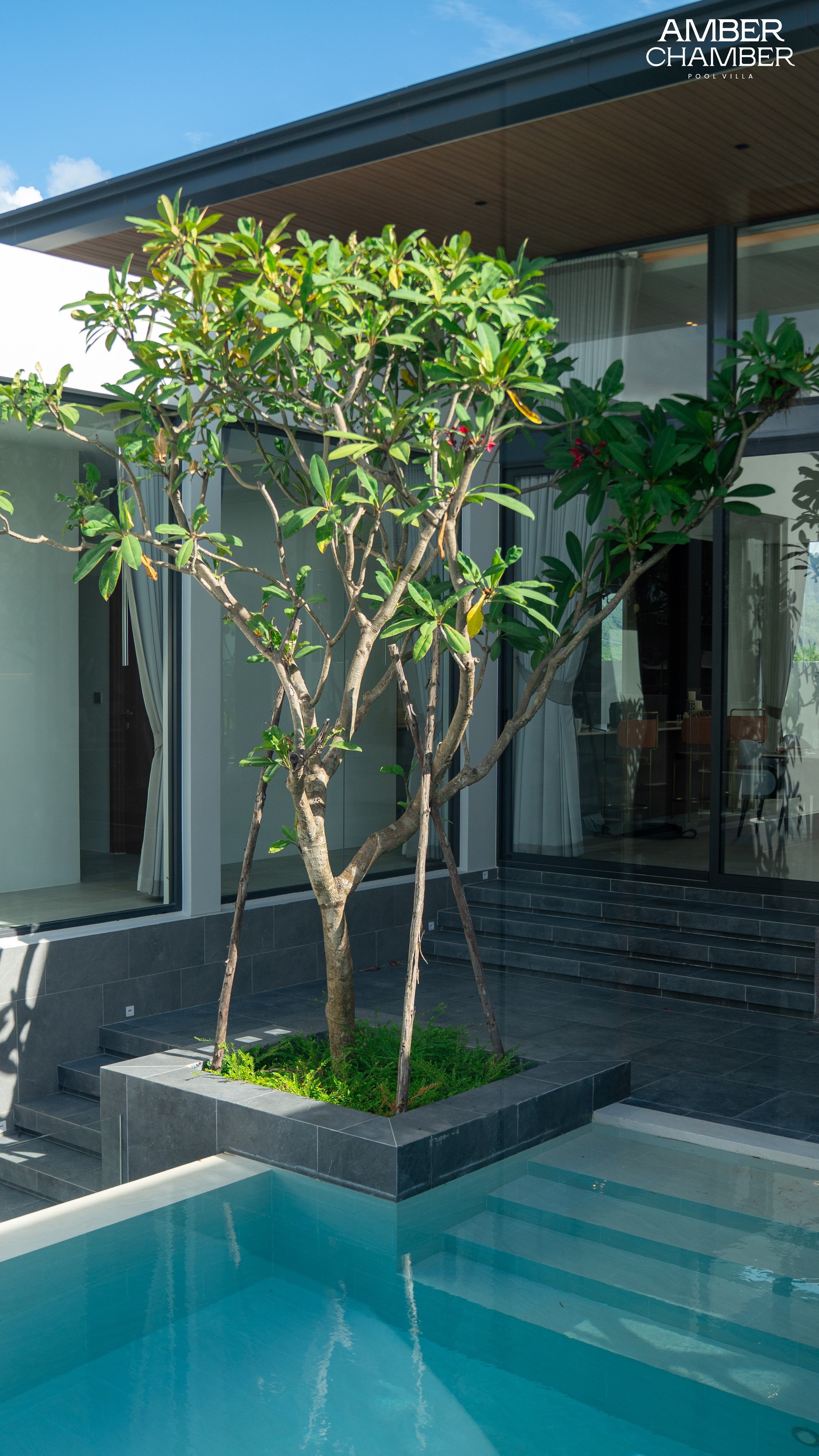 Landscaped tropical planting within the Amber Chamber grounds